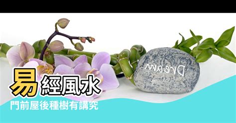 屋後有樹|【後院種樹風水】後院種樹風水妙招！4種旺宅添福樹、3種大忌樹。